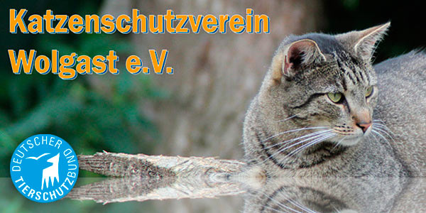 Katzenschutzverein