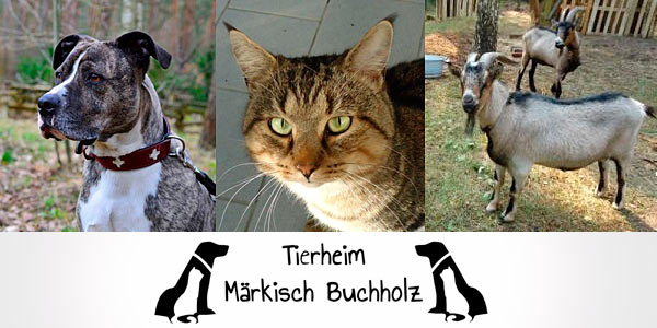 Märkisch-Buchholz